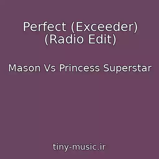 کاور آهنگ Perfect (Exceeder) (Radio Edit) از Mason Vs Princess Superstar