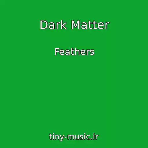 کاور آهنگ Dark Matter از Feathers