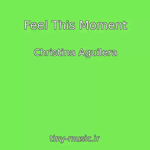 کاور آهنگ Feel This Moment از Christina Aguilera
