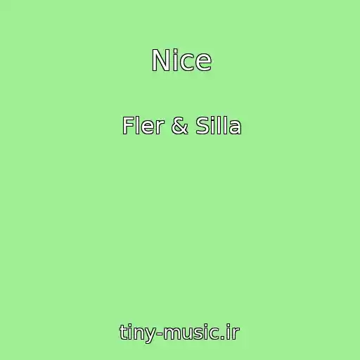 کاور آهنگ Nice از Fler & Silla