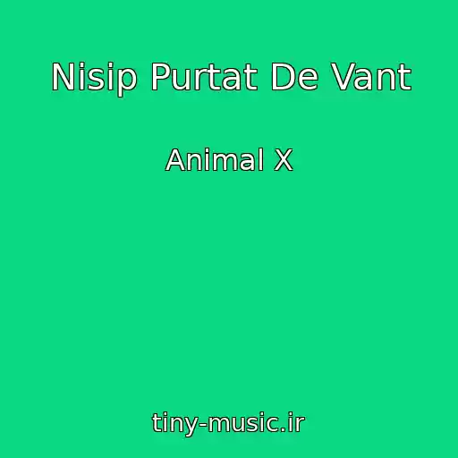 کاور آهنگ Nisip Purtat De Vant از Animal X