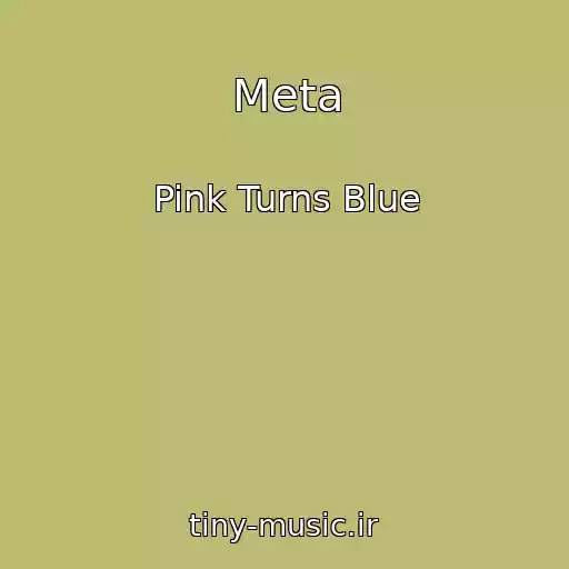 کاور آهنگ Meta از Pink Turns Blue