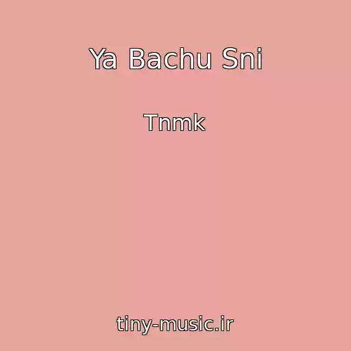 کاور آهنگ Ya Bachu Sni از Tnmk