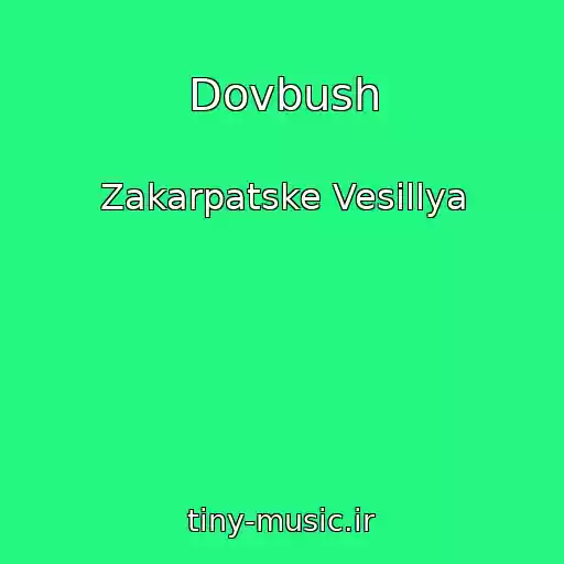 کاور آهنگ Dovbush از Zakarpatske Vesіllya