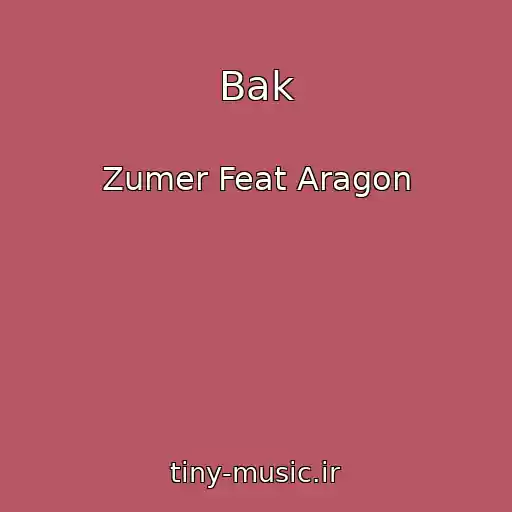 کاور آهنگ Bak از Zumer Feat Aragon