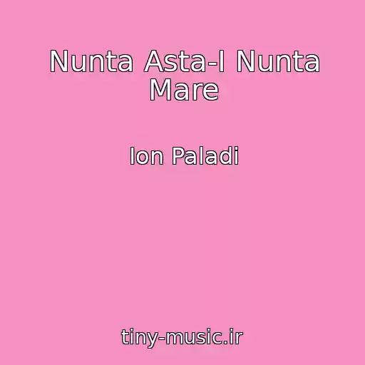 کاور آهنگ Nunta Asta-I Nunta Mare از Ion Paladi