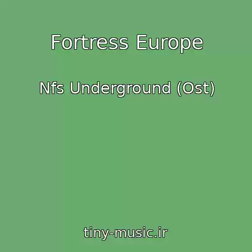 کاور آهنگ Fortress Europe از Nfs Underground (Ost)