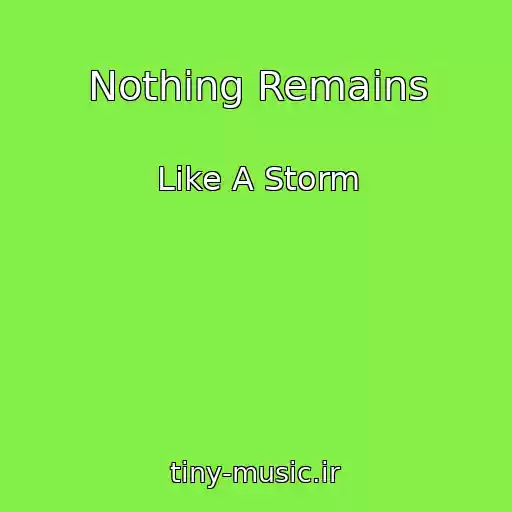 کاور آهنگ Nothing Remains از Like A Storm
