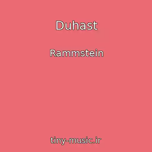 کاور آهنگ Duhast از Rammstein