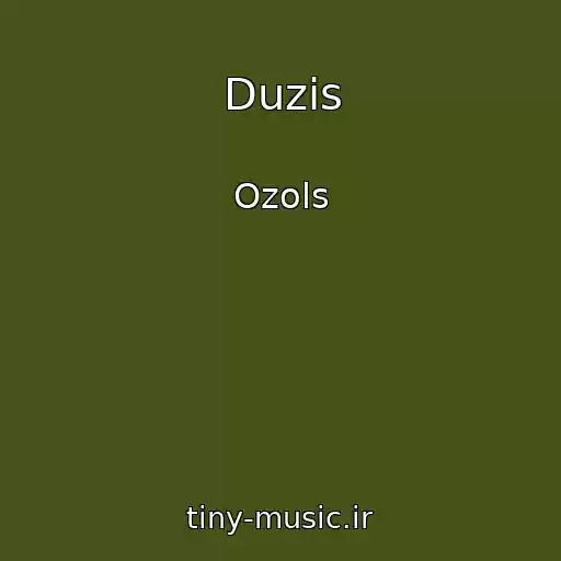 کاور آهنگ Duzis از Ozols