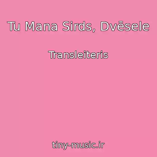 کاور آهنگ Tu Mana Sirds, Dvēsele از Transleiteris