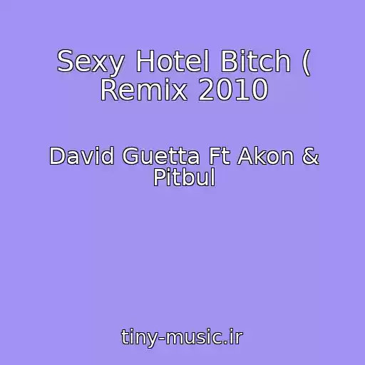 کاور آهنگ Sexy Hotel Bitch ( Remix 2010 از David Guetta Ft Akon & Pitbul