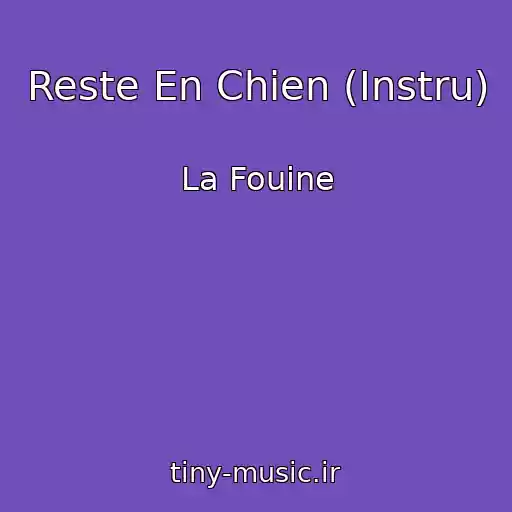 کاور آهنگ Reste En Chien (Instru) از La Fouine