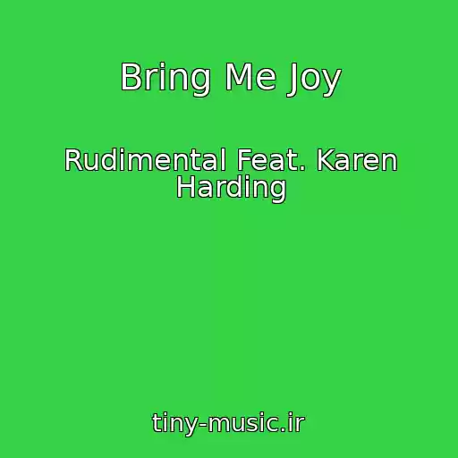 کاور آهنگ Bring Me Joy از Rudimental Feat. Karen Harding