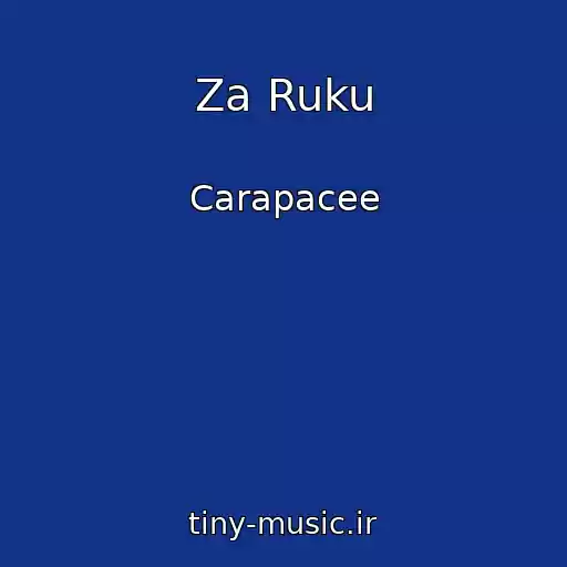 کاور آهنگ Za Ruku از Carapacee