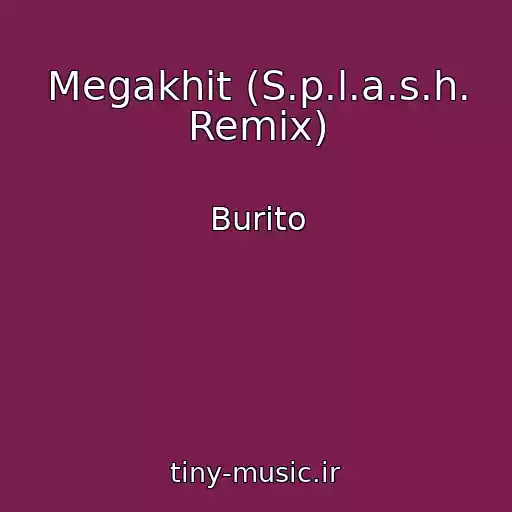 کاور آهنگ Megakhit (S.p.l.a.s.h. Remix) از Burito