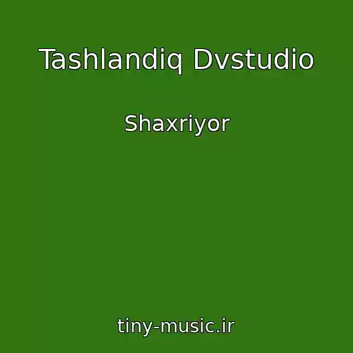 کاور آهنگ Tashlandiq Dvstudio از Shaxriyor