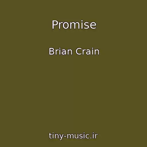 کاور آهنگ Promise از Brian Crain