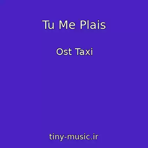 کاور آهنگ Tu Me Plais از Ost Taxi