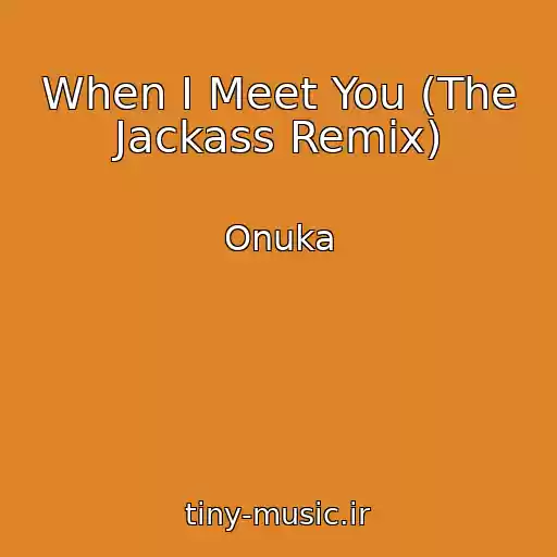 کاور آهنگ When I Meet You (The Jackass Remix) از Onuka