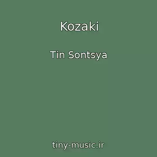 کاور آهنگ Kozaki از Tіn Sontsya