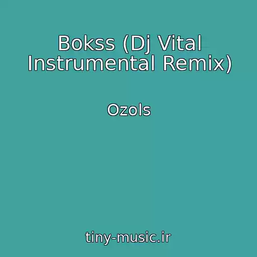 کاور آهنگ Bokss (Dj Vital Instrumental Remix) از Ozols