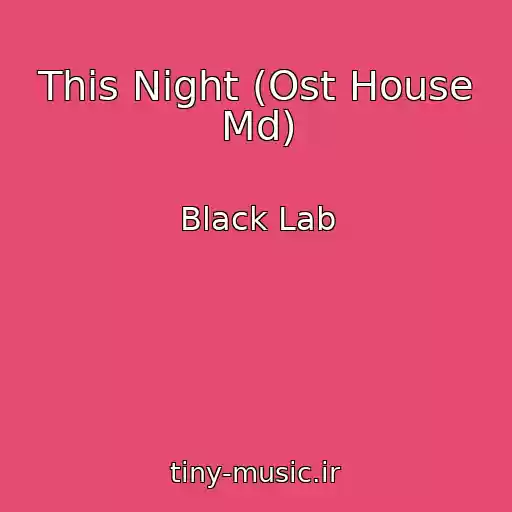 کاور آهنگ This Night (Ost House Md) از Black Lab