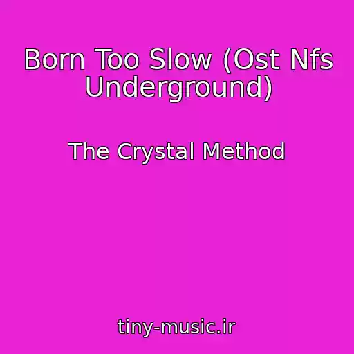 کاور آهنگ Born Too Slow (Ost Nfs Underground) از The Crystal Method