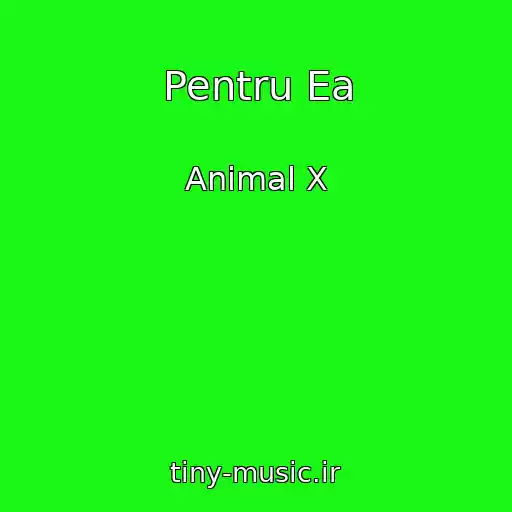 کاور آهنگ Pentru Ea از Animal X