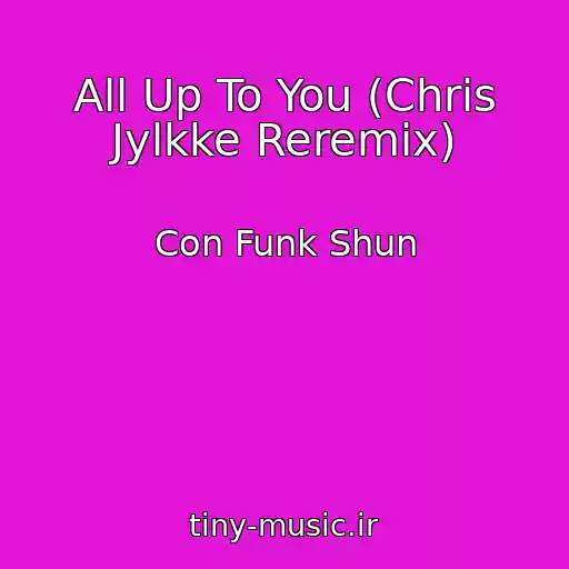 کاور آهنگ All Up To You (Chris Jylkke Reremix) از Con Funk Shun