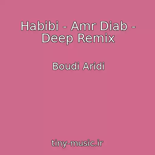 کاور آهنگ Habibi - Amr Diab - Deep Remix از Boudi Aridi