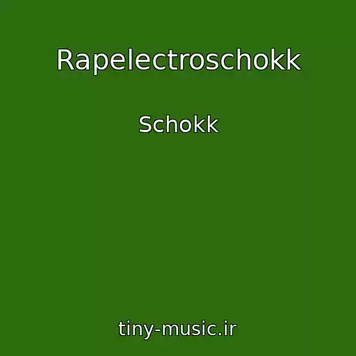 کاور آهنگ Rapelectroschokk از Schokk