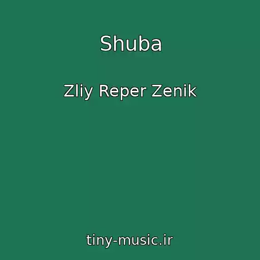کاور آهنگ Shuba از Zliy Reper Zenik