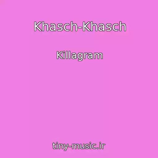کاور آهنگ Khasch-Khasch از Killagram