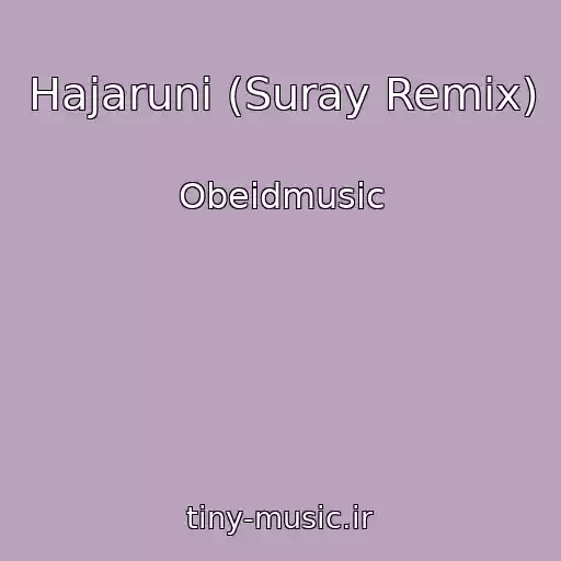 کاور آهنگ Hajaruni (Suray Remix) از Obeidmusic