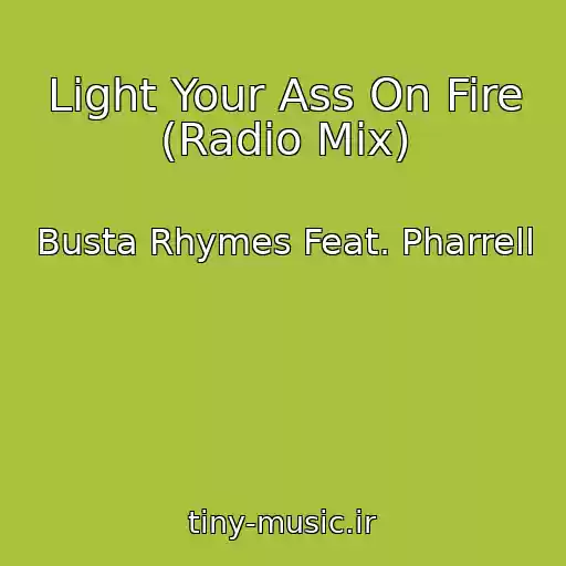 کاور آهنگ Light Your Ass On Fire (Radio Mix) از Busta Rhymes Feat. Pharrell