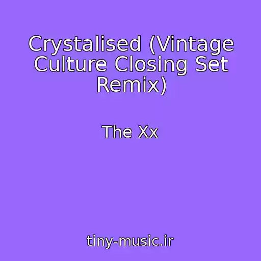 کاور آهنگ Crystalised (Vintage Culture Closing Set Remix) از The Xx
