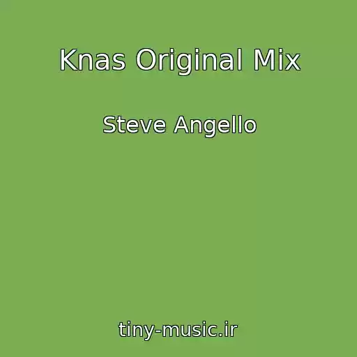 کاور آهنگ Knas Original Mix از Steve Angello