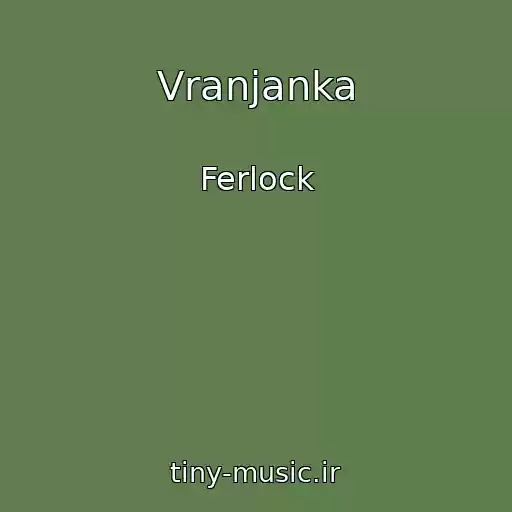 کاور آهنگ Vranjanka از Ferlock