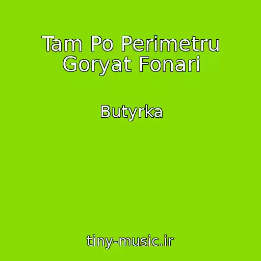 کاور آهنگ Tam Po Perimetru Goryat Fonari از Butyrka