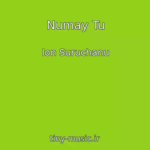 کاور آهنگ Numay Tu از Ion Suruchanu