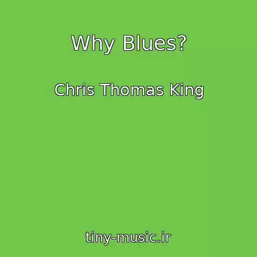 کاور آهنگ Why Blues? از Chris Thomas King