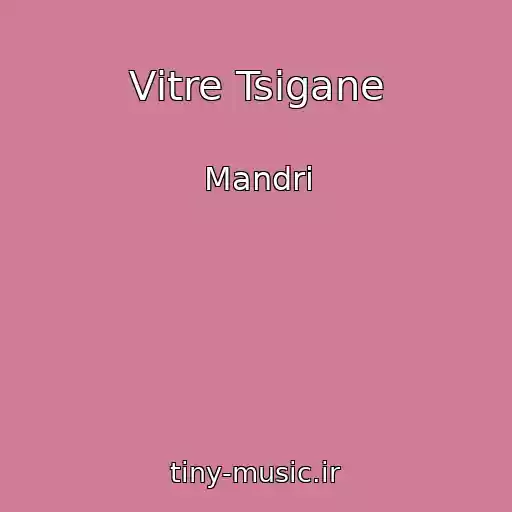 کاور آهنگ Vіtre Tsigane از Mandri