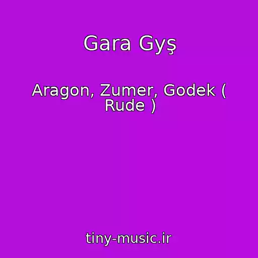 کاور آهنگ Gara Gyş از Aragon, Zumer, Godek ( Rude )