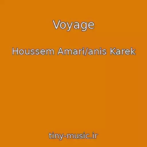 کاور آهنگ Voyage از Houssem Amari/anis Karek
