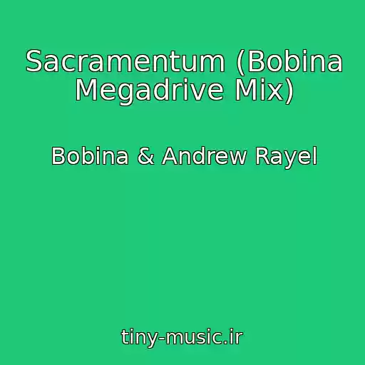 کاور آهنگ Sacramentum (Bobina Megadrive Mix) از Bobina & Andrew Rayel