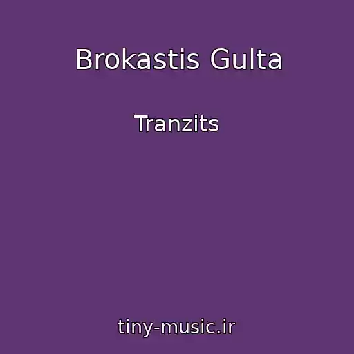 کاور آهنگ Brokastis Gulta از Tranzits