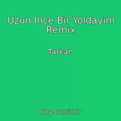 کاور آهنگ Uzun Ince Bir Yoldayim Remix از Tarkan