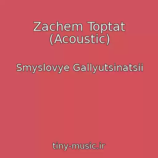 کاور آهنگ Zachem Toptat (Acoustic) از Smyslovye Gallyutsinatsii