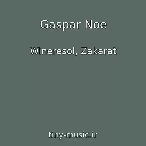 کاور آهنگ Gaspar Noe از Wineresol, Zakarat